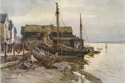 Az Exe a Topshamban (színes litó) alkotó: Ernest William Haslehust
