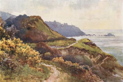 Ventnor a Steephill Walk-ről (színes litó) alkotó: Ernest William Haslehust
