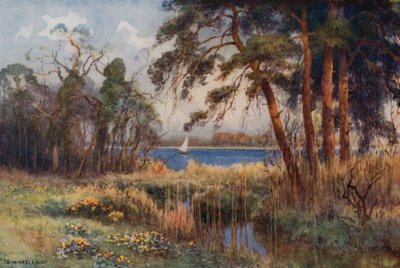 Wroxham Broad, kora tavasz (színes litho) alkotó: Ernest William Haslehust