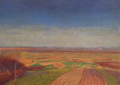 Marchfeld vom Bisamberg alkotó: Ernst Eck