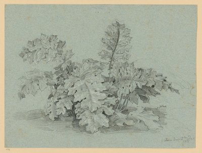 Akanthusznövény alkotó: Ernst Fries