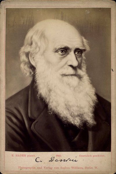 Charles Darwin, brit természettudós, 1860-1870 között alkotó: Ernst Hader