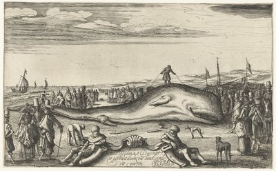 Elakadt sperma bálna Noordwijk tengerpartján, 1614 alkotó: Esaias van de Velde