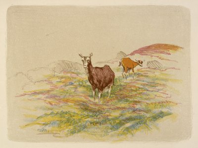 Kecskék a mezőn alkotó: Esther Blaikie MacKinnon