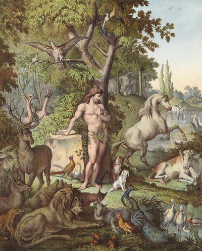 Ádám az édenkertben (színes litográfia) alkotó: Etienne Antoine Eugene Ronjat