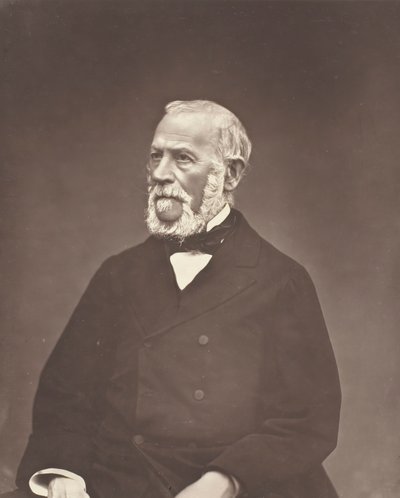 Henri Martin c. 1876. alkotó: Etienne Carjat