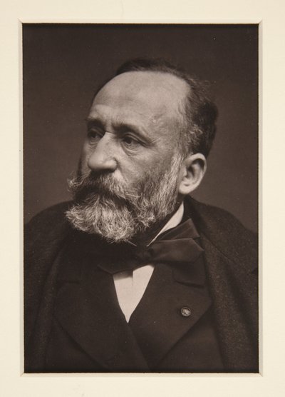 Pierre Puvis de Chavannes portréja (1824-1898) alkotó: Etienne Carjat