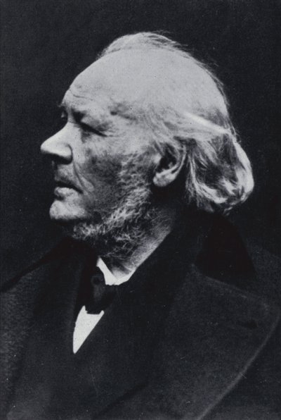 Az illusztrátor Honore Daumier alkotó: Etienne Carjat