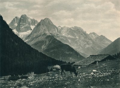 Kilátás a Brenta csoportra alpesi legelővel, Madonna di Campiglio, Dolomitok, Olaszország, 1927 alkotó: Eugen Poppel