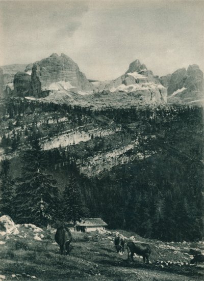 Kilátás a Brenta csoportra alpesi legelővel, Madonna di Campiglio, Dolomitok, Olaszország, 1927 alkotó: Eugen Poppel