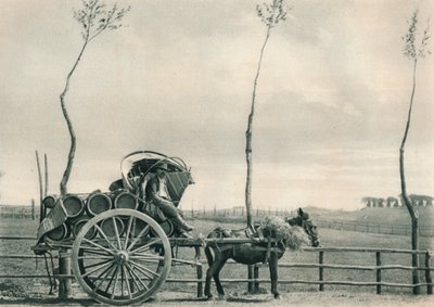 Borhordó a Campagna-ban, Róma, Olaszország, 1927 alkotó: Eugen Poppel