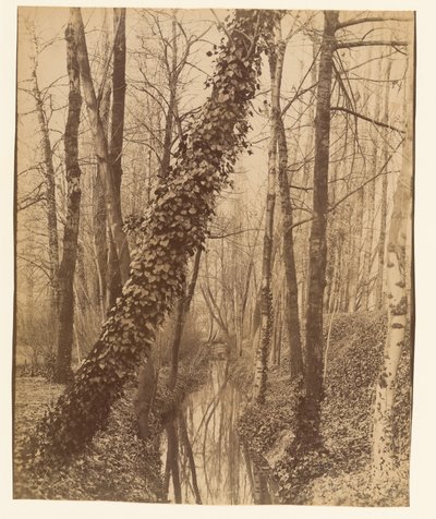  alkotó: Eugène Atget