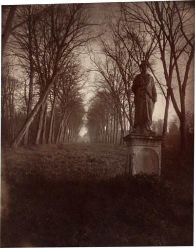 Parc de Sceaux,1925 (fotó) alkotó: Eugène Atget