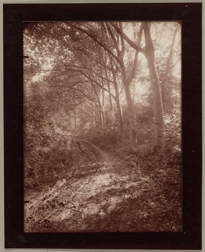 Sceaux parkja alkotó: Eugène Atget
