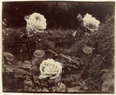  alkotó: Eugène Atget