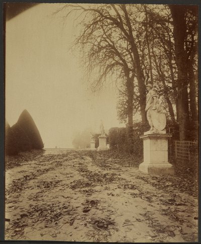 Versailles, a park (fasor a versailles-i parkban) alkotó: Eugène Atget