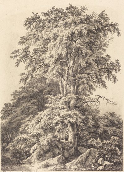 Bükkliget, 1840. alkotó: Eugene Bléry