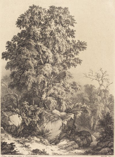 Bükkliget, 1840. alkotó: Eugene Bléry