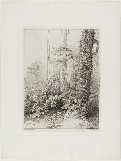 Bramble és Ivy alkotó: Eugene Bléry