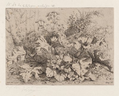 Bojtorján virágban, 1858. alkotó: Eugene Bléry