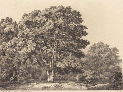Erdő bejárata, 1840. alkotó: Eugene Bléry