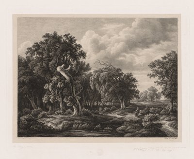 Természet után rajzolt különféle növénycsoportok: 1855. 7. sz. alkotó: Eugene Bléry