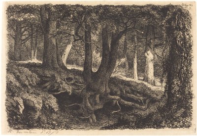 Gyökeres fa, 1849-ben jelent meg. alkotó: Eugene Bléry
