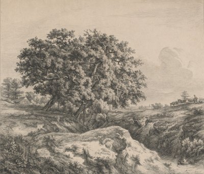 Tölgyfa egy szakadék mellett, 1845. alkotó: Eugene Bléry
