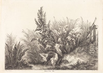 Water Patience, Study (Study of a Patience-Dokk) alkotó: Eugene Bléry