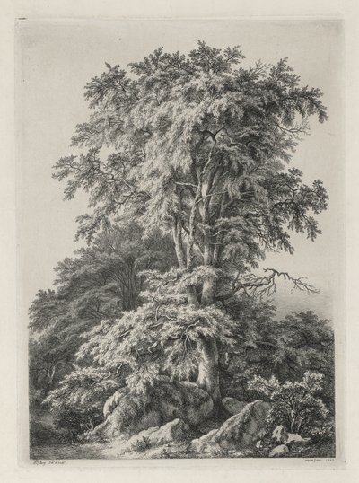 Természet után rajzolt és vésett tanulmányok: The Beach, Fontainbleau..., 1840. alkotó: Eugene Bléry