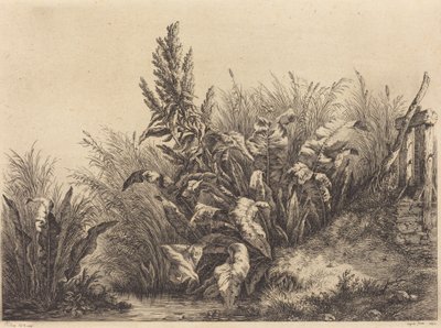 Vízi dokk, 1840. alkotó: Eugene Bléry