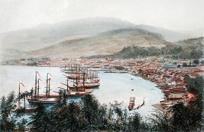 Saint-Pierre látképe a Sainte-Marthe-i ágyúállásból, Martinique (színes litográfia) alkotó: Eugene Ciceri