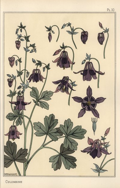 Columbine, Aquilegia vulgaris, virágrészek alkotó: Eugene Grasset