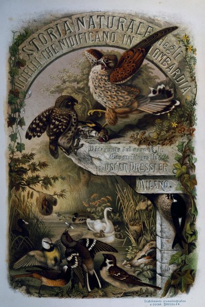 Eugenio Bettoni (1845-1898) A Lombardiában fészkelő madarak természettörténete című művének címlapja, Oscar Dressler metszete, Olaszország. alkotó: Eugenio Bettoni, Oscar Dressler