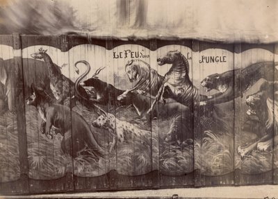 A trón ünnepe alkotó: Eugène Atget
