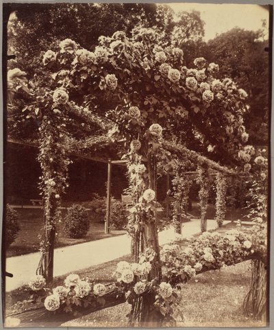 [Jardin de Bagatelle] alkotó: Eugène Atget