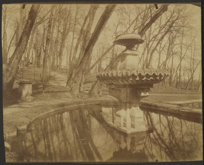 Parc de Saint Cloud (Saint Cloud park) alkotó: Eugène Atget