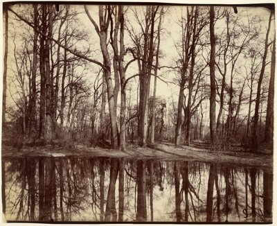 Saint-Cloud alkotó: Eugène Atget