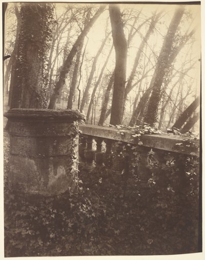 Saint-Cloud Park, Párizs alkotó: Eugène Atget