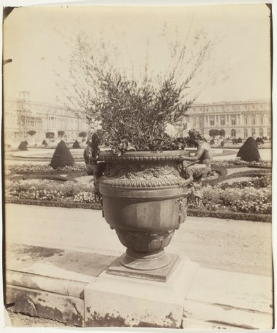 Versailles, Ballin váza, 1902. alkotó: Eugène Atget