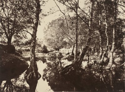 Belle-Croix,1860-as évek (fénykép) alkotó: Eugène Cuvelier