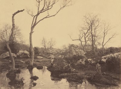 Gyönyörű kereszt, c. 1858. alkotó: Eugène Cuvelier