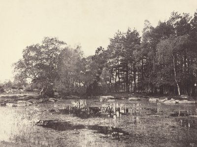 Mocsár a Piat Belle-Croix-fennsíkon, kb. 1863. alkotó: Eugène Cuvelier