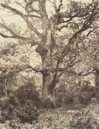A Bodmer közelében alkotó: Eugène Cuvelier
