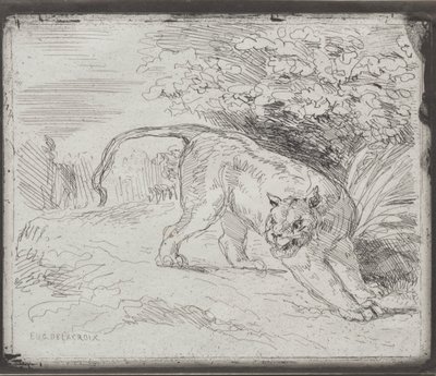 Egy csapdába esett tigris alkotó: Eugène Delacroix