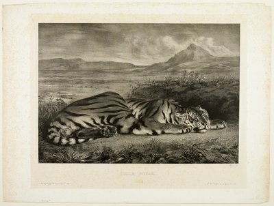 Bengáli tigris alkotó: Eugène Delacroix