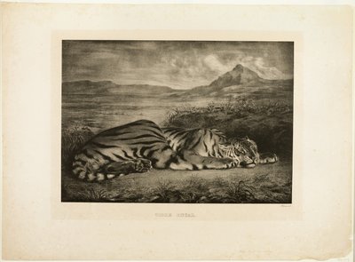 Bengáli tigris alkotó: Eugène Delacroix
