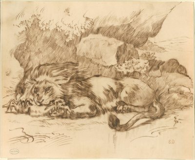 Oroszlán felfal egy nyulat alkotó: Eugène Delacroix