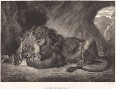 Az Atlasz-hegység oroszlánja Lion de l