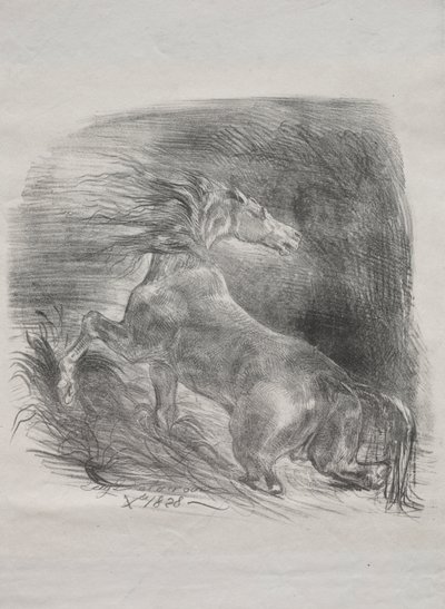 A vadló, avagy megrémült ló elhagyja a vizet alkotó: Eugène Delacroix